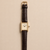 IMG_6032 CARTIER